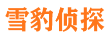 通海婚外情调查取证